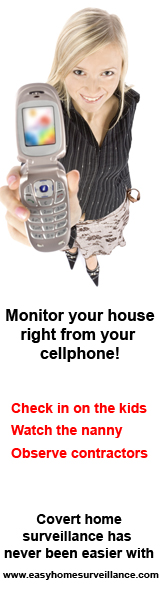 cellphone monitor pic - lady holding a cellphone showing how you can check in on the kids, watch a nanny and more.